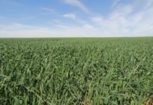 Mais de 5,7 milhões entregam declaração do ITR 2019 dentro do prazo