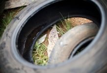 Casos de morte por dengue aumentam 5 vezes em relação ao ano passado