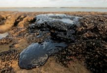 Quatro mil toneladas de óleo já foram retiradas de praias nordestinas