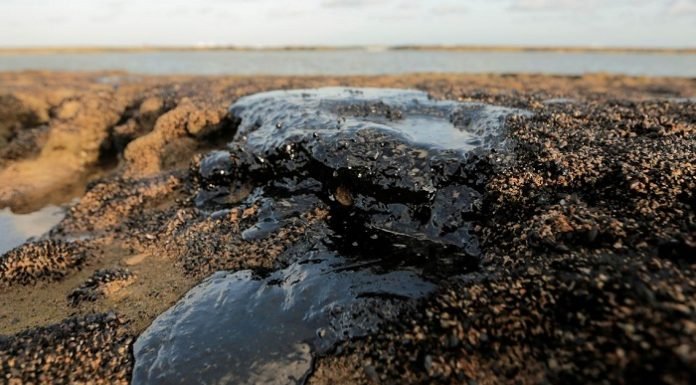 Quatro mil toneladas de óleo já foram retiradas de praias nordestinas